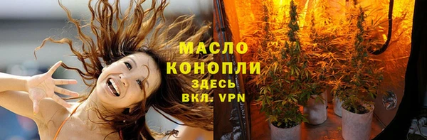 шишки Саяногорск